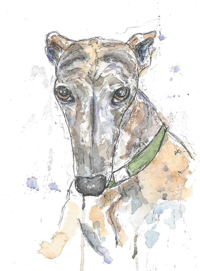 Just listed, and only a small number available. Brindle greyhound prints. A4 size. Only £12.50 posted. #greyhound #prints numonday.com/product/brindl…