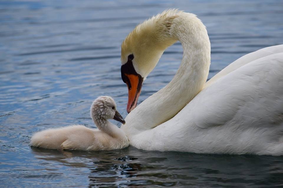 Happy Mother's Day to all of the incredible moms! We appreciate all that you do. 💓