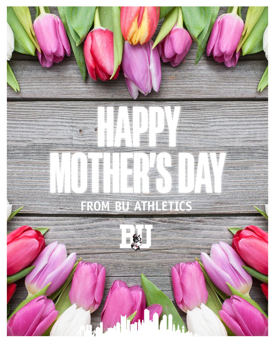 Happy Mother’s Day, Terrier Nation! 🌷