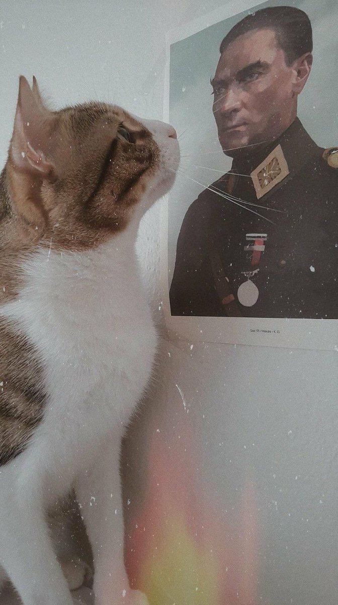 Tanrı Atatürk düşmanlarının ömründen alsın, kedilere versin.