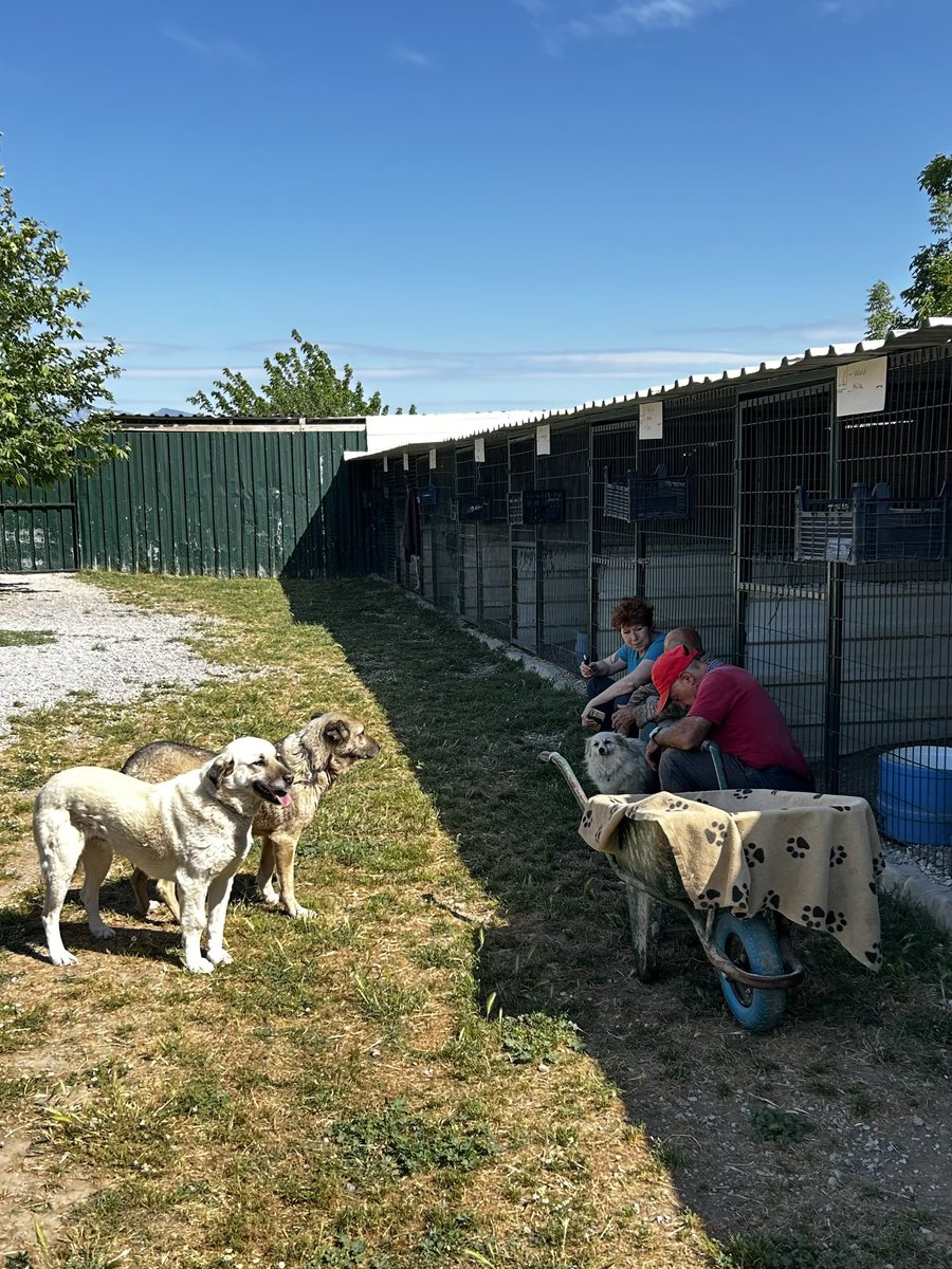 Angekommen bei den Fellis! 🥰
