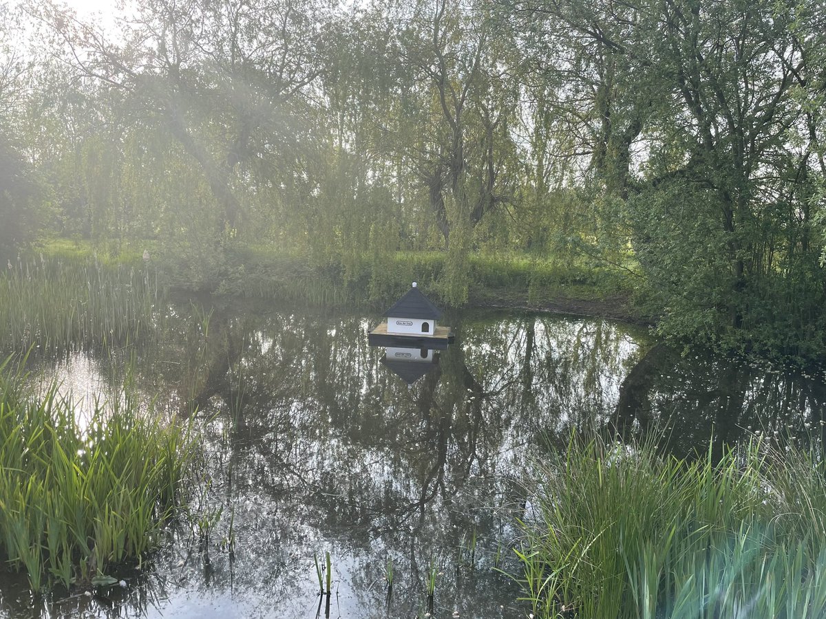 Managed Sunday #VRC today <a href="/runningpunks/">Running Punks</a>. Suffering a bit with my health so gentle plod round accompanied by some vintage Abba tracks. Even found some purple flowers for the purple flower gang!