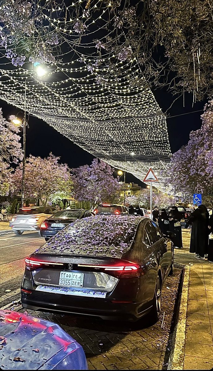 Les arbres à Riyadh en Arabie saoudite hier soir 🇸🇦 :0