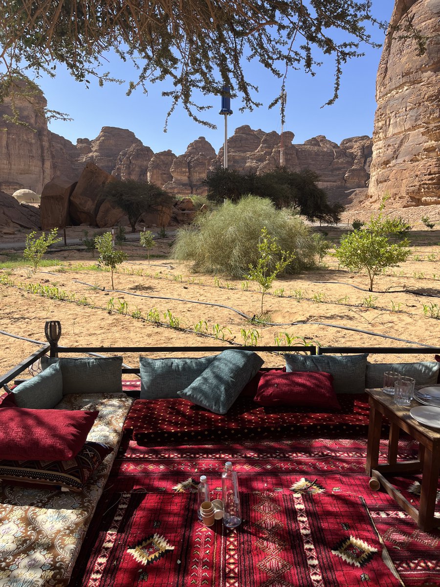 من رحلتي للعلا