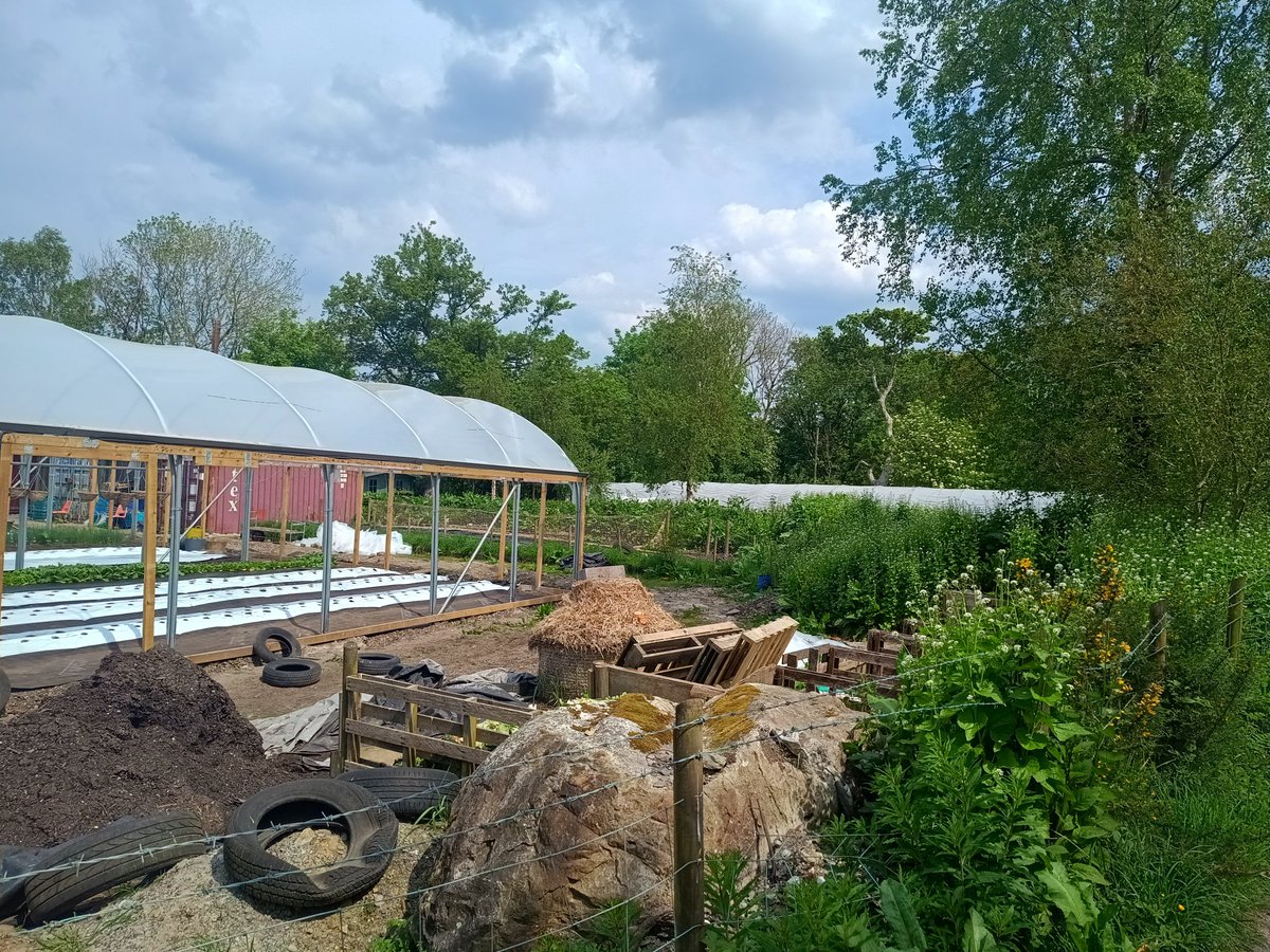 Jonathan Ervine tweet media