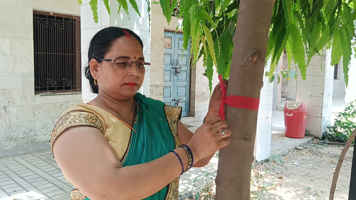 Today, on #InternationalDayOfPlantHealth, @RedTapeMovement & #plantation drive were organised by @CharchitNGO & @Janaadhar23251 with co-op of basic education dept, social welfare dept, & @BrahmaKumaris sisters in Dr BR Ambedkar Degree College #Firozabad (#UttarPradesh, #India).