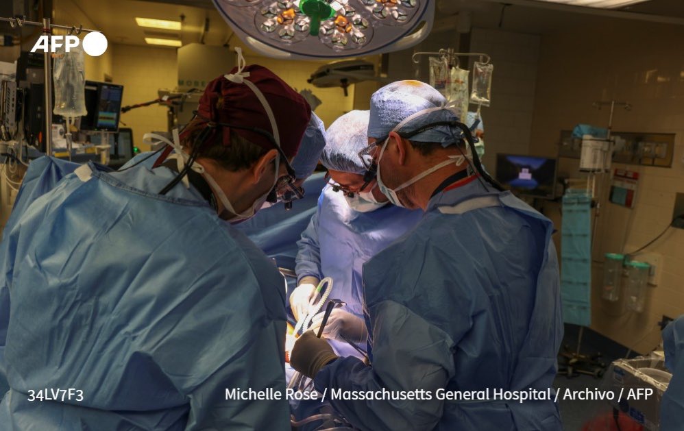 🇺🇸 | Muere el hombre al que le trasplantaron por primera vez un riñón de cerdo genéticamente modificado dos meses después de la operación, anunció el estadounidense Hospital General de Massachusetts, que llevó a cabo la intervención y el cual dijo no tener indicios de que haya…