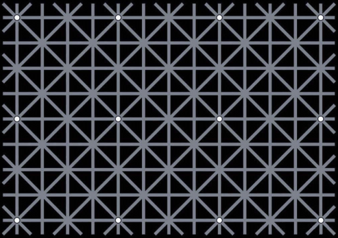 TheEmperorSon's tweet photo. How many white dots are there? #OptionalIllusion https://t.co/pKkgxtdgC5