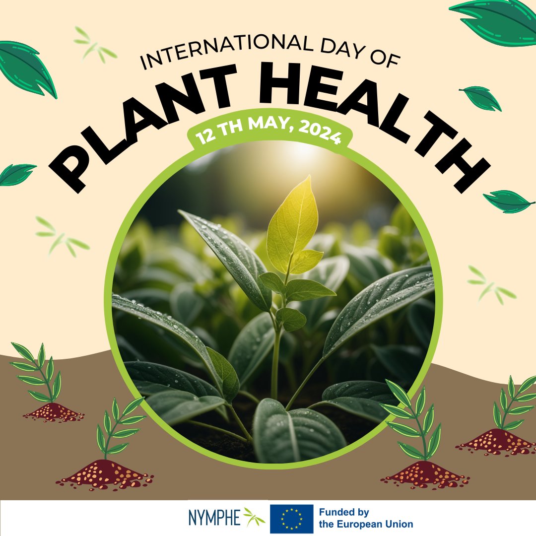 With an estimated 380,000 plant species, they provide us with 80 percent of food we eat and 98 percent of the oxygen we breathe🍀💚 As we celebrate International Day of Plant Health, let's commit to safeguarding the health of our planet's and promoting sustainable practices.