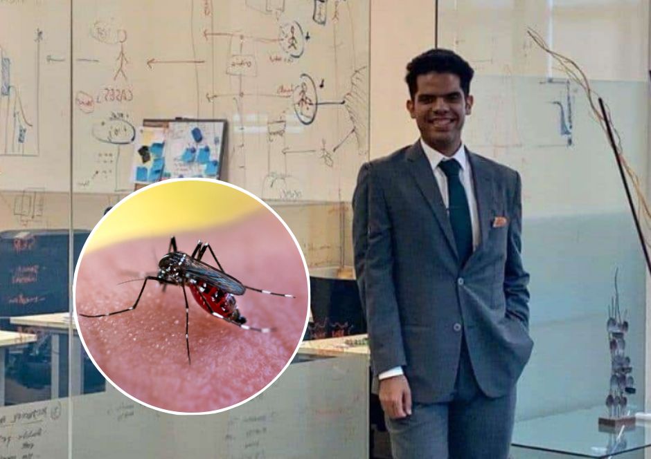 Dominicano crea software que predice brotes de dengue con 88% de efectividad buff.ly/4abki0A 

#remolachanet