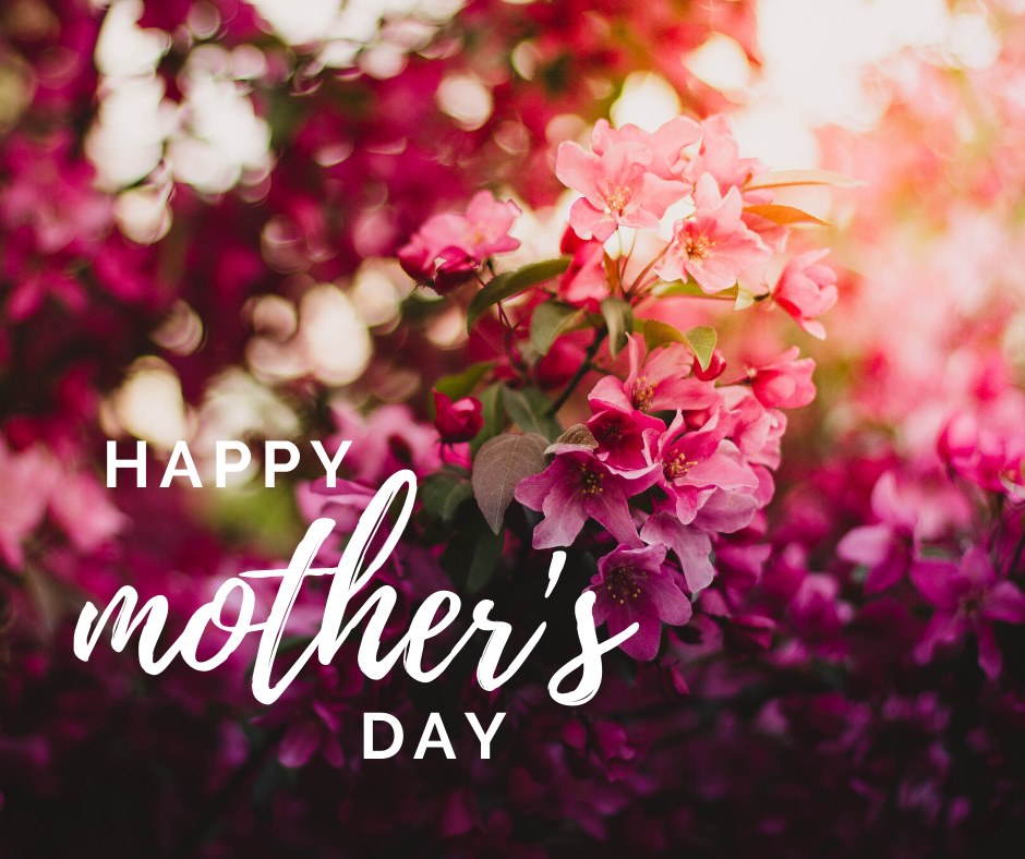 Providence Oregon (@provhealth) on Twitter photo There’s nothing quite like the love of a mother. We are grateful for all the women who shape our lives. There’s nothing quite like the love of a mother. We are grateful for all the women who shape our lives.
