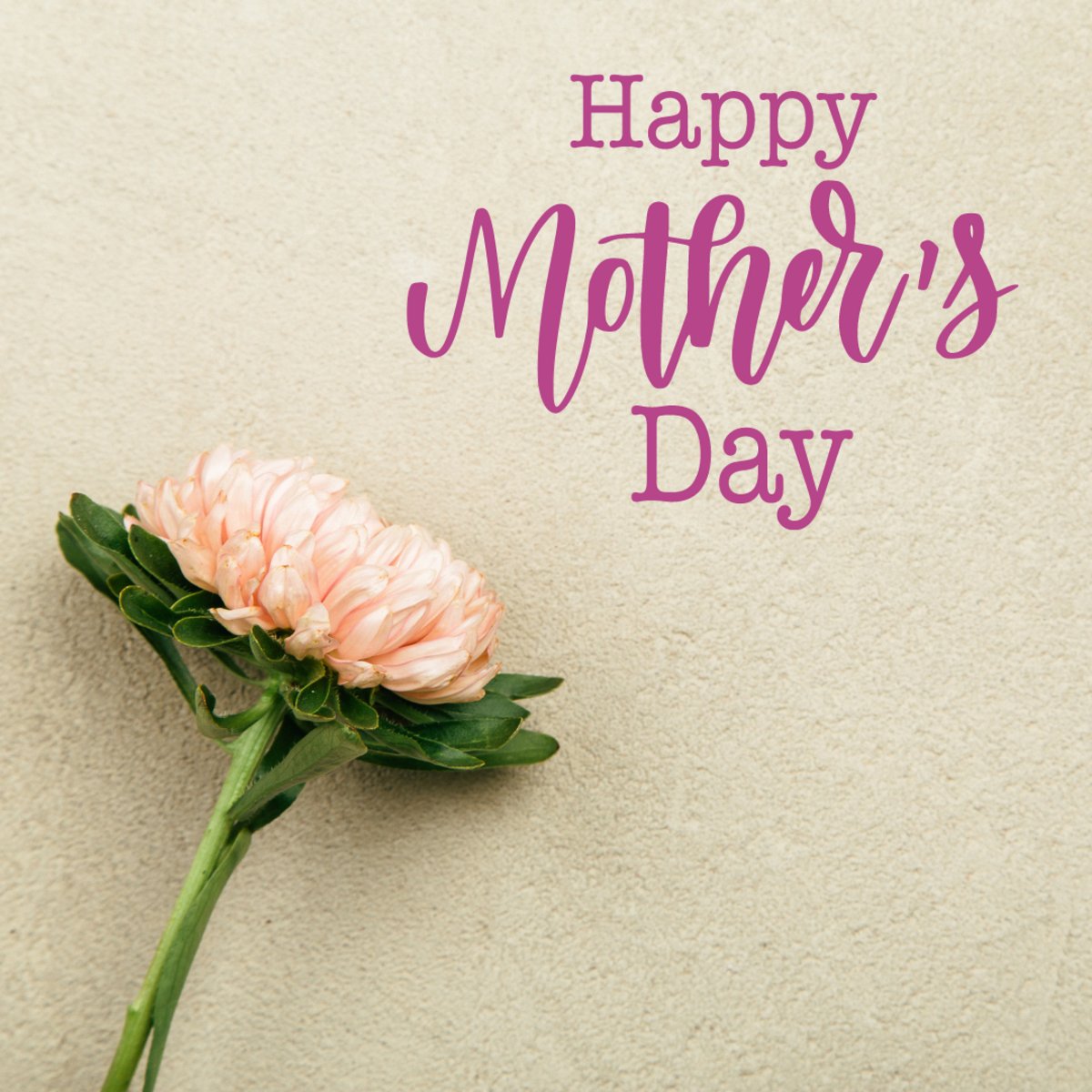 Wishing you a Happy Mother's Day from all of us at Country Inn & Suites by Radisson, Mankato Hotel and Conference Center, MN 💕 #HappyMothersDay