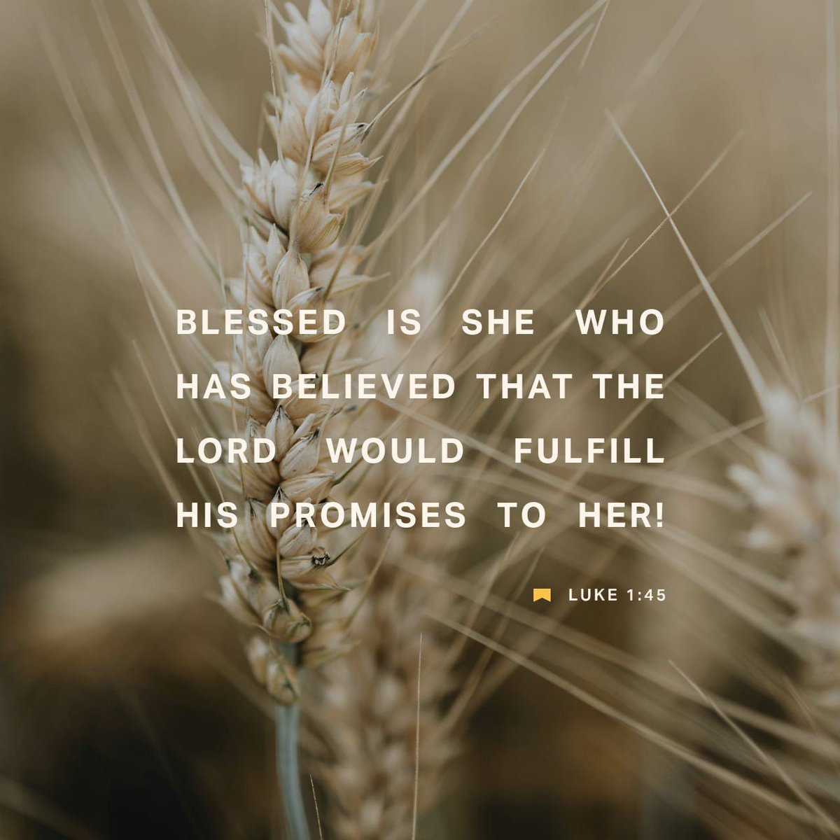 Luke 1:45 KJV [45] And blessed is she that believed: for there shall be a performance of those things which were told her from the Lord.
