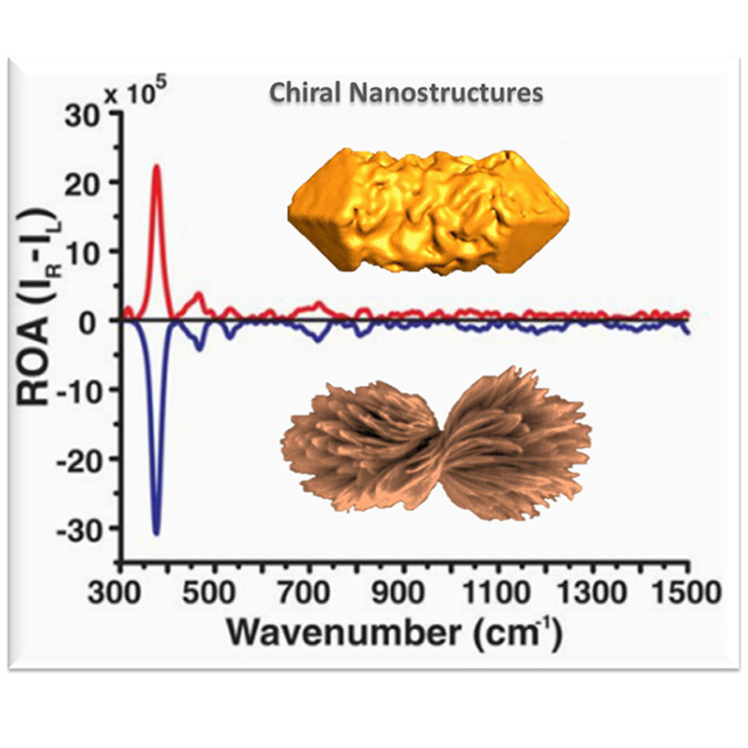 acsnano's tweet photo. This #openaccess review by @LizMarzan_Lab and @kotov_group summarizes the advancements in #RamanOpticalActivity and surface-enhanced ROA, their distinction from #SERS and their potential application in detecting chiral biomolecules.

Read more: https://t.co/BRsfLWnI6d https://t.co/hDukVqZ4EG