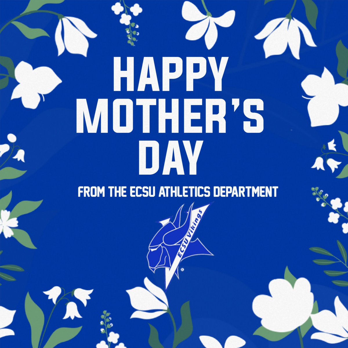 Wishing all the mothers in Viking Land a happy Mother's Day! 💙💐🤍