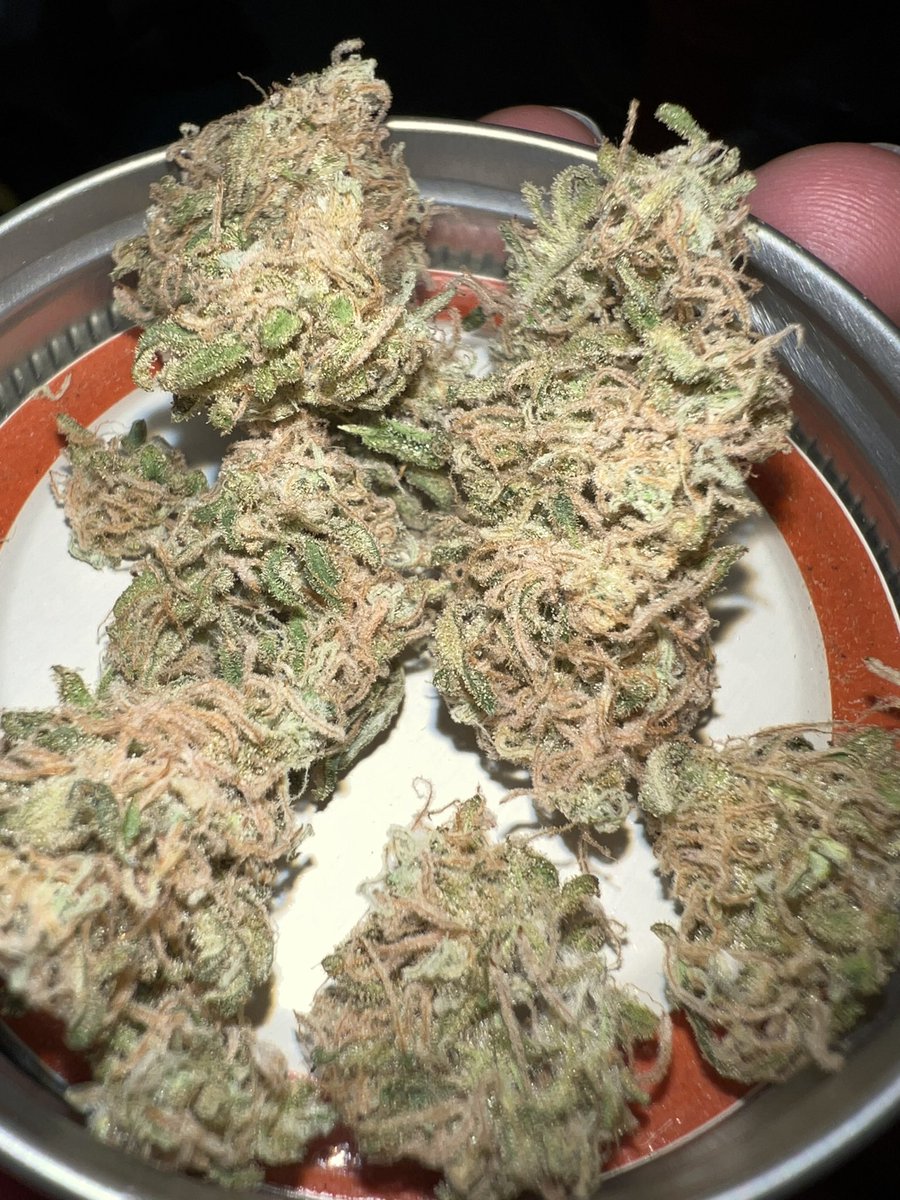 desert_hippy's tweet photo. @businessdonkey Honestly idk why you’re comparing piles of shake. Compare those piles to this right here🍯👍 https://t.co/ezlAVopCU0