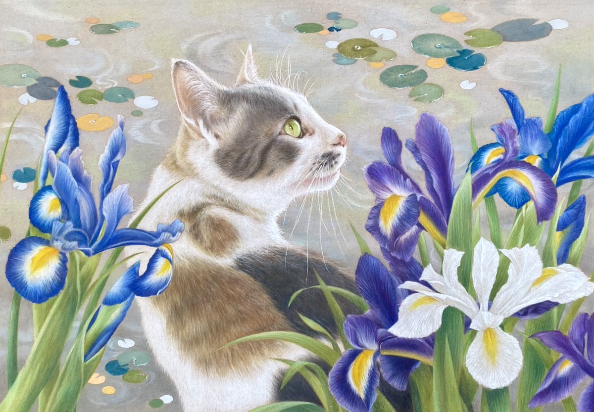 #フォロワー1万以下の神絵師発掘したい 現在、松山庭園美術館に展示中の作品です。 「 風薫る（かぜかおる）」 youtu.be/61YpfdoX2Ik?si… #coloredpencil #色鉛筆イラスト #色鉛筆 #猫イラスト #猫好きさんとつながりたい #ペット肖像画 #catart #写実 #メイキング動画 #YouTube #Pencildrawing