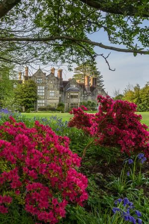 Wonderful spring views  @bordehillgarden Open for the #Nationalgardenscheme this Tuesday 🌸#Flowers #Gardening