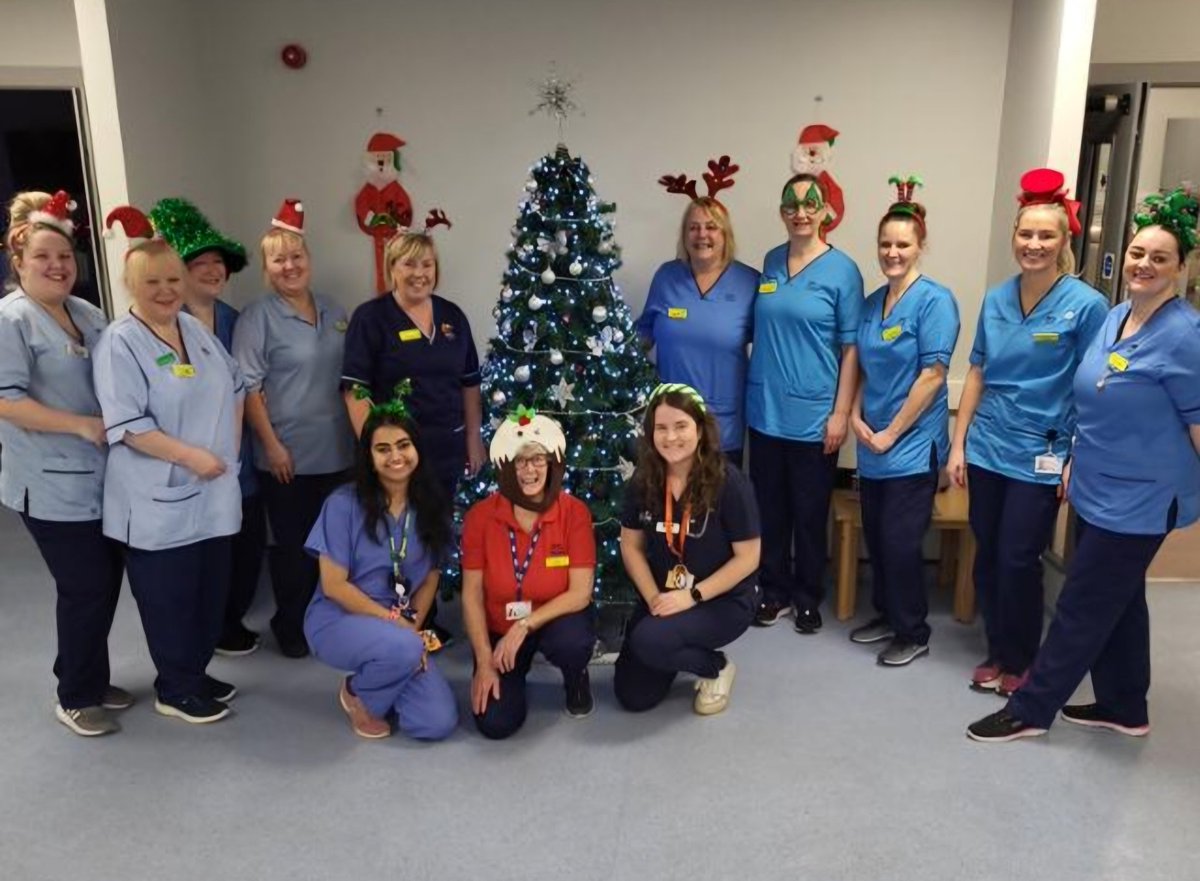 Arlene McNelis tweet media