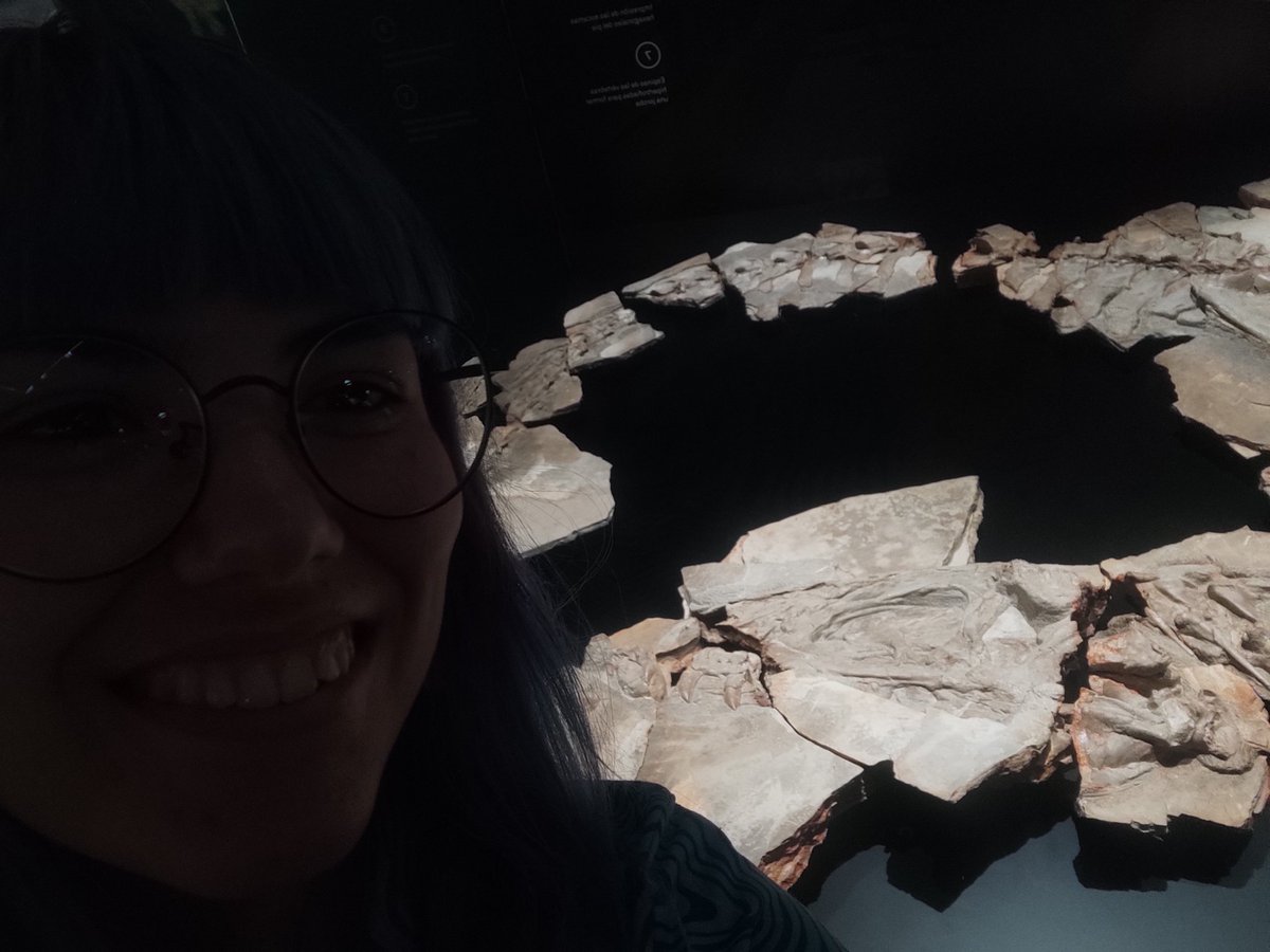 Ando visitando al concavenator en la exposición CAZADORES DE DRAGONES del Museo Arqueológico y Paleontológico de la Comunidad de Madrid 🦖🤩