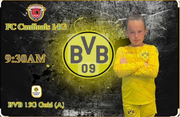 I’m ready to beat fc cardinals 14g #bvb