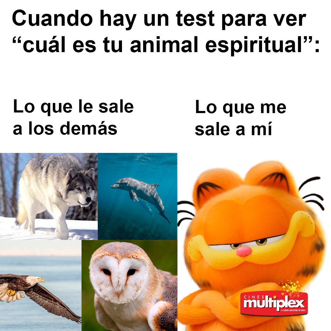 MultiplexCines's tweet photo. SI SOY 😅
Todavía lo viniste a ver #garfield ? Qué esperas? 🐈🍝
🎟️ Entradas a la venta en https://t.co/4Ky0ysoinK y/o en nuestras boleterías/candy
#multiplex #multiplextucine #lacadenaargentinadecines #garfield #garfields https://t.co/WGZuRh0VEP