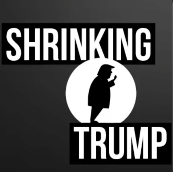1/9 Join Dr. John Gartner and co-host Dr. Harry Segal for the first episode of “Shrinking Trump,” a weekly show dedicated to analyzing Trump from a psychological point of view. We discuss Trump’s recent signs of dementia from his Gettysburg Address to his falling asleep in court.…