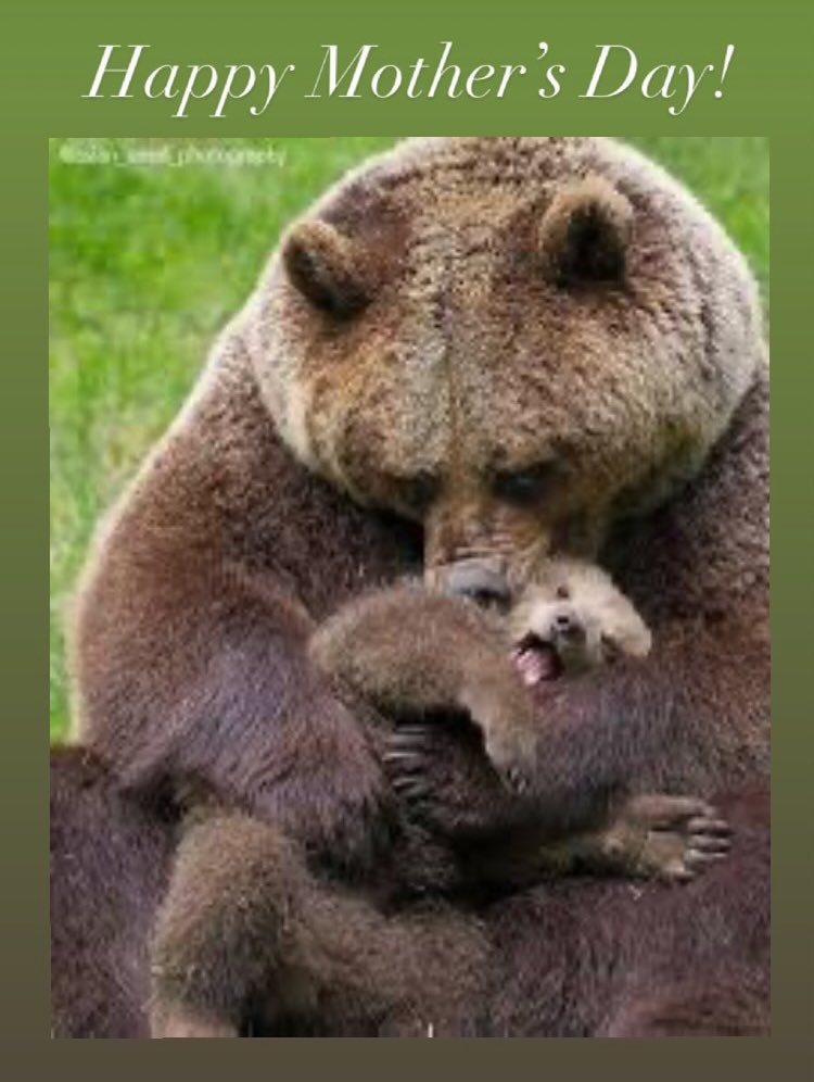 Berlin Wrestling (@obhswrestling) on Twitter photo 