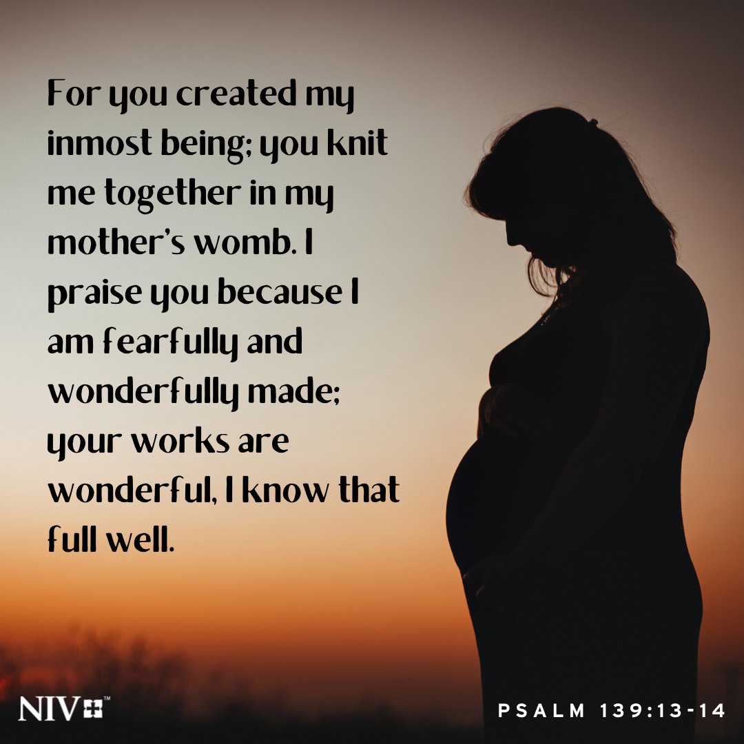 For you created my inmost being; you knit me together in my mother’s womb. I praise you because I am fearfully and wonderfully made; your works are wonderful, I know that full well. Psalm 139:13-14 #NIV #NIVBible #verseoftheday #votd