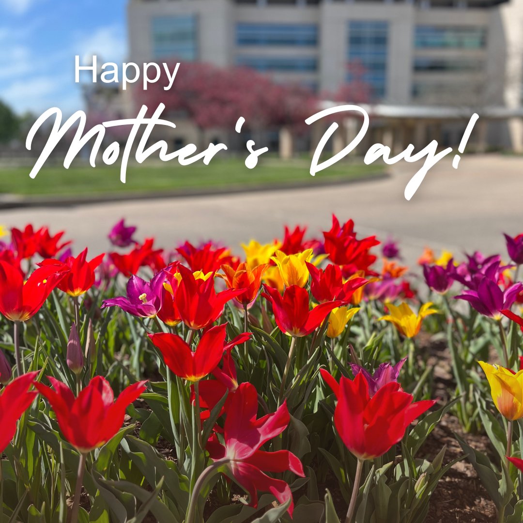 To all the incredible moms, we wish you a happy #MothersDay! 💐