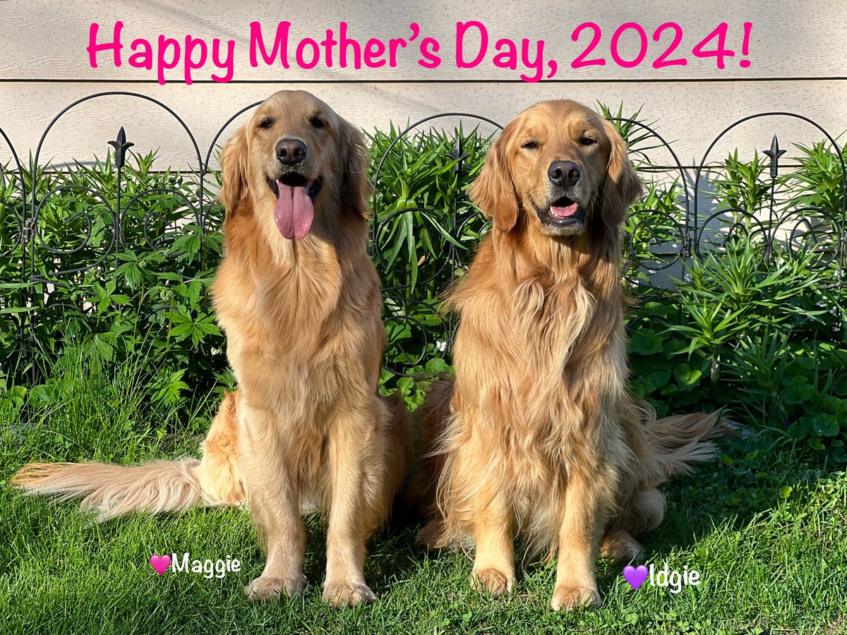 Whether you're Momma To 2-, 3- or 4 legged, Winged, finned or ... not, If you're Momma by choice, Or Momma by blood, Whether you're loving your Momma, Or missing your Momma Today is your day to embrace So we send you our love! #HappyMothersDay