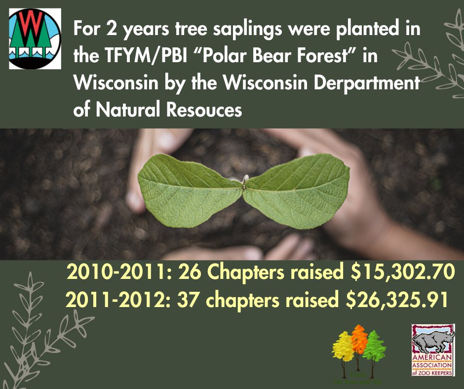 AAZK (@aazkinc) on Twitter photo Trees for You and Me would like to thank the Wisconsin Department of Natural Resouces for creating the "Polar Bear Forest"!  #AAZKTFYM15 Trees for You and Me would like to thank the Wisconsin Department of Natural Resouces for creating the "Polar Bear Forest"!  #AAZKTFYM15