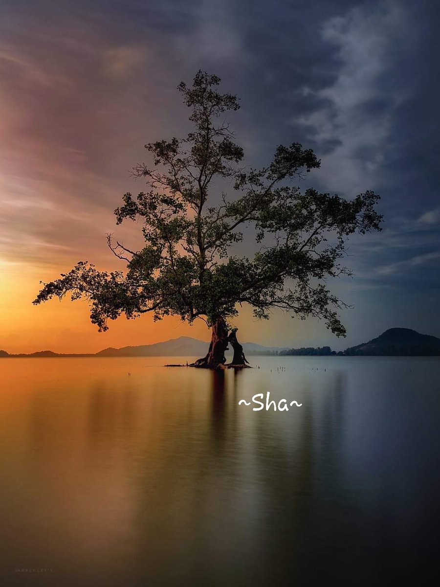 ❤STAY STRONG❤ The words of GOD is the medicine of the heart🌹💕 🌸Imam Ali🌸 From 🇲🇾 with ❤~Sunset from hometown💕 ~Hold on to me and never let go😘💞~