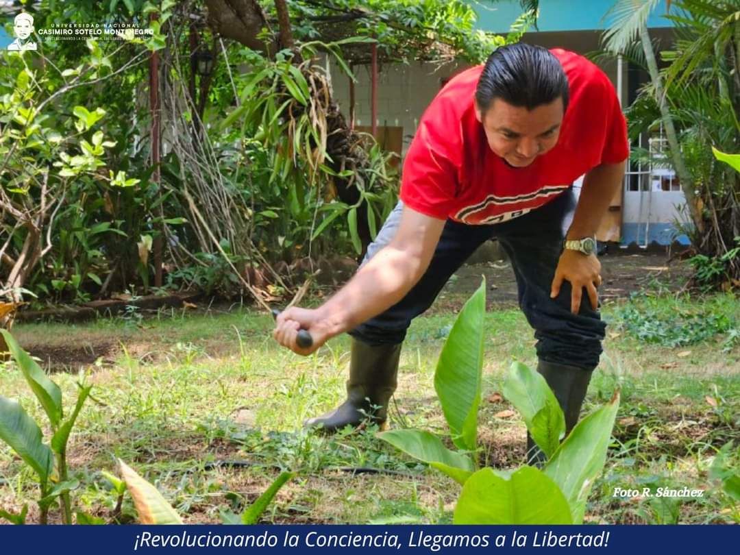 JORNADA BOTÁNICA en la
 CASI-MIRO

No tienen para pagar personal de mantenimiento