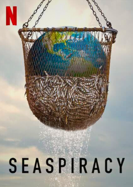 10 documentales de NETFLIX para entender mejor la vida 🪄

1. SEASPIRACÍA