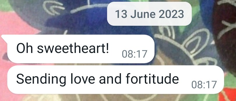 This is the last text my partner with #verySevereME sent me. He is the best 🥰.

(response to a needy voicenote from me crying cos of a lack of support from work + family - & sb had hidden my work laptop whilst I was off w. stress due to partner's sudden decline)

#MEAwarenessDay