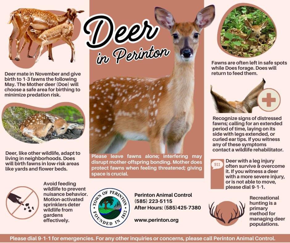 Town of Perinton tweet media