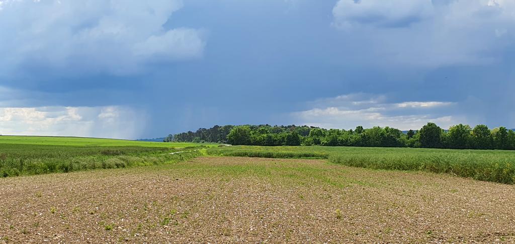 C'est parti pour les orages @meteo_89 Secteur #pontsuryonne