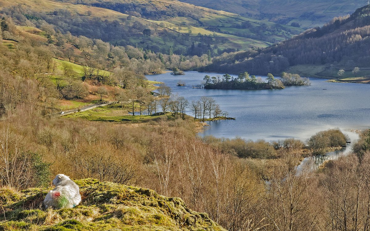 Rydal Water from White Moss Common a little earlier in the year.