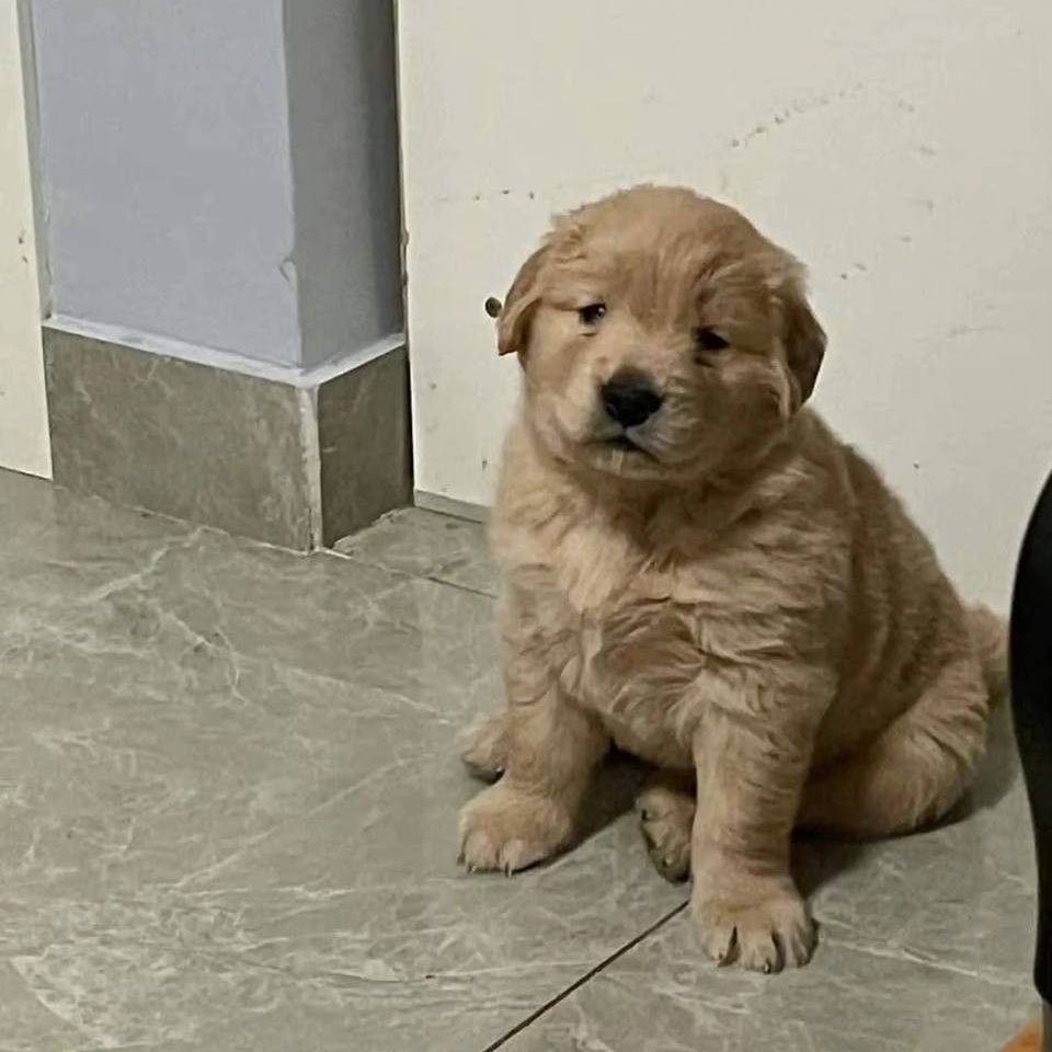 tonnyhahaha's tweet image. ก็ เบบี๋จิตตุงเเหน่ง เค้าไม่ได้อ้วร