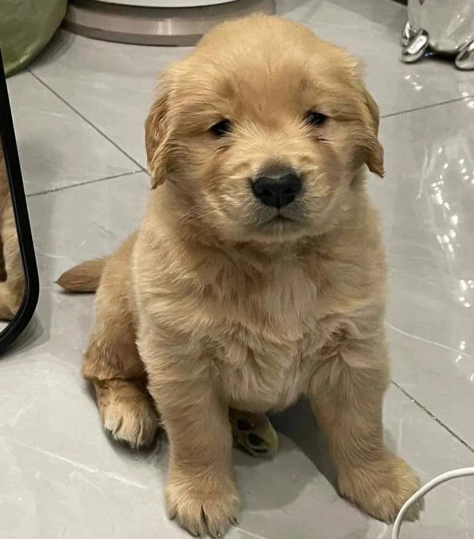 tonnyhahaha's tweet image. ก็ เบบี๋จิตตุงเเหน่ง เค้าไม่ได้อ้วร