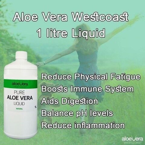 Aloe Vera Westcoast liquid will boost your immune system. Reserve yours today!
👉 conta.cc/3adrGMn

#aloevera #aloeveraproducts #naturalhealthcare #aloeveraproduct #naturalwellness #aloeverapureproducts #healthquotes #aloeverauses #aloeverabenefits #immunesystem