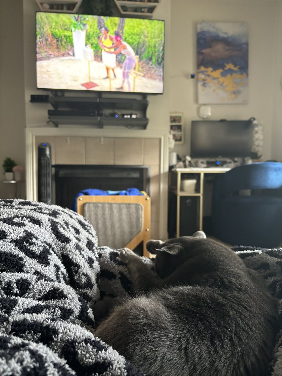 My mother's day with one of my furry monsters watching Dummies with luggage on an island. #DONDI