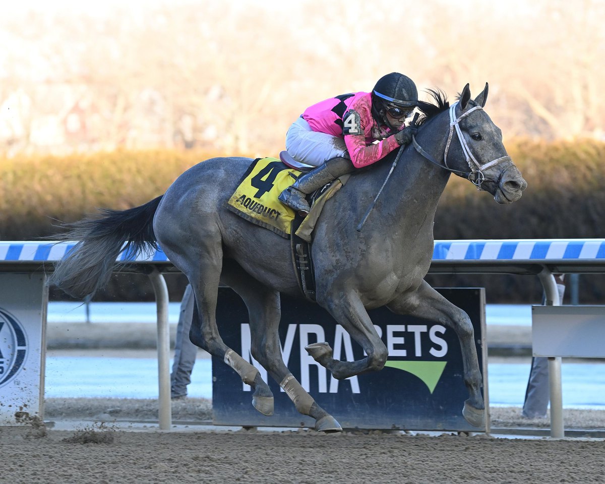 ➡️🇺🇸Hit Show, el buen hijo de #CandyRide, ganador del Withers Stakes (G3) y animador de la Triple Corona en 2023, reprisó ganando bien este sábado en @ChurchillDowns. Habrá que seguirlo de cerca. @osafweboficial @ObjetivoBC