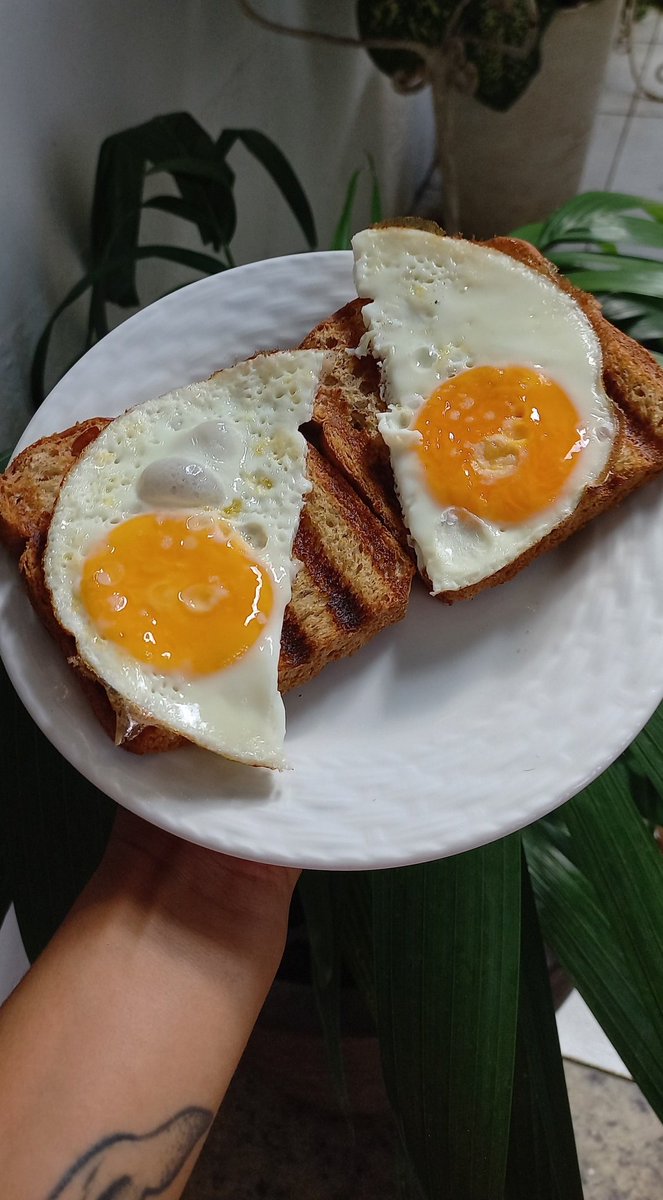 Toda mulher forte que eu conheço come pão com ovo, então esse é o segredo

(Progressão de cargas e treino inteligente também)