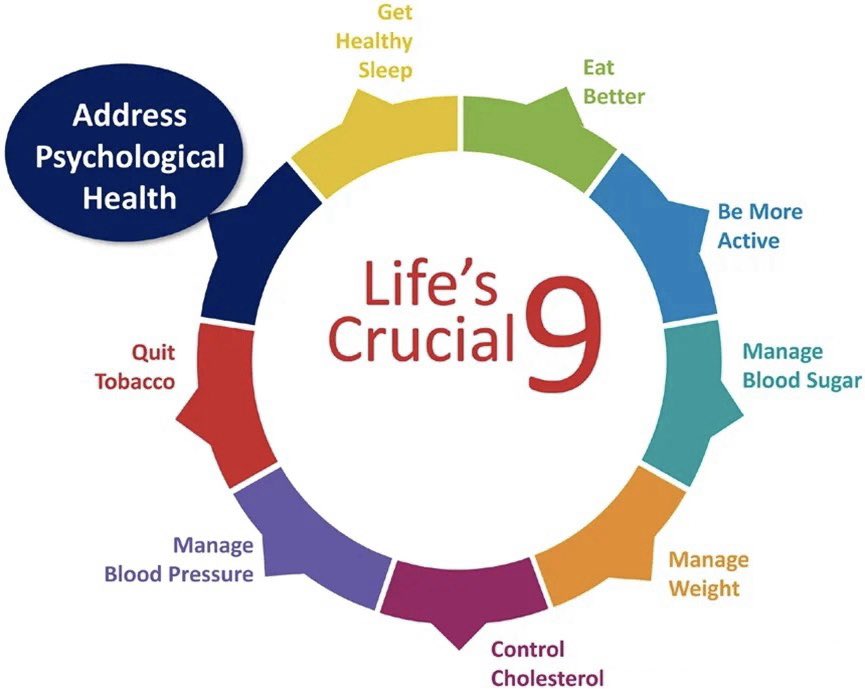 生命9要素（Life's Crucial 9）

Circulation曾经发文在美国心脏协会最佳心血管健康的生命8要素（Life's Essential 8）基础上将心理健康列为第9要素

生命的九个关键要素包括：

01 饮食：健康饮食包括五多三少

五个多吃：多吃水果、蔬菜、坚果和豆类、全谷物和低脂乳制品