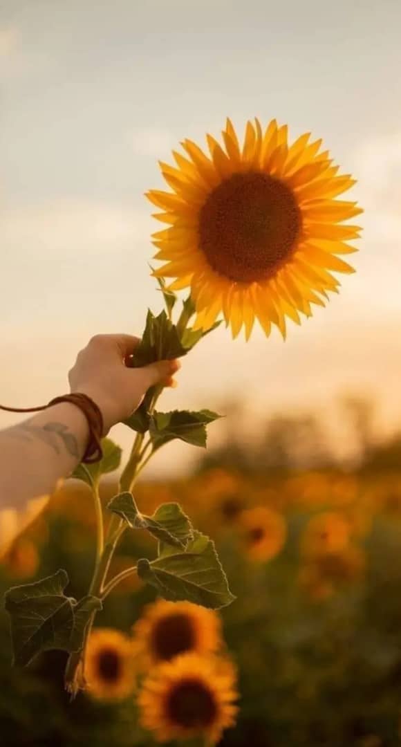 Feliz #DiaDeLasMadres a todas las madres cubanas, que aman sin principio ni final. A las que apenas empiezan a maternar. A las que se esfuerzan, sacando adelante solas a sus preciosos hijos! A las que nos siguen amando, cuidan, sonríen y nos acompañan día a día.