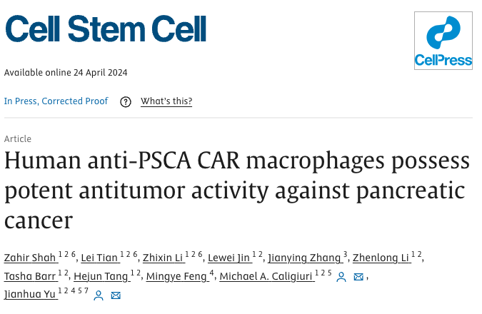 🚗 Back to the big CARs - a macrophage (get it - 'macro') CAR active against PANC bit.ly/3ygrefr