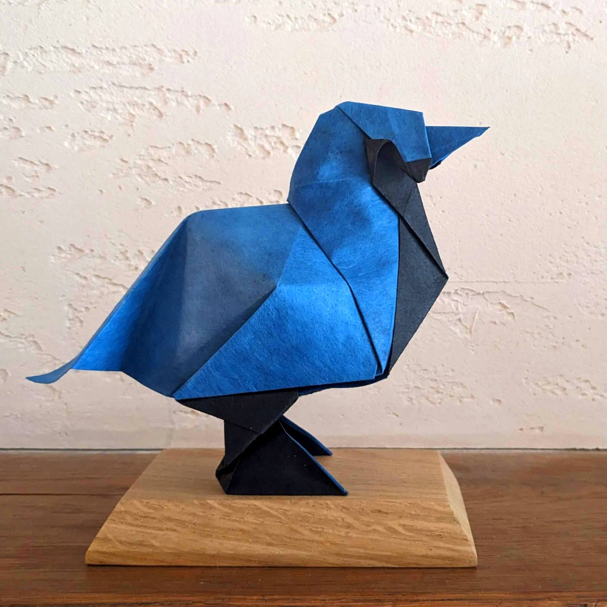 Little Blue Bird
Designed and folded by me
Folded from a single 30x30 cm sheet of Blue Shadow Thai paper.
#Origami #nicolasterryorigami #origamishop 
#shadowthai