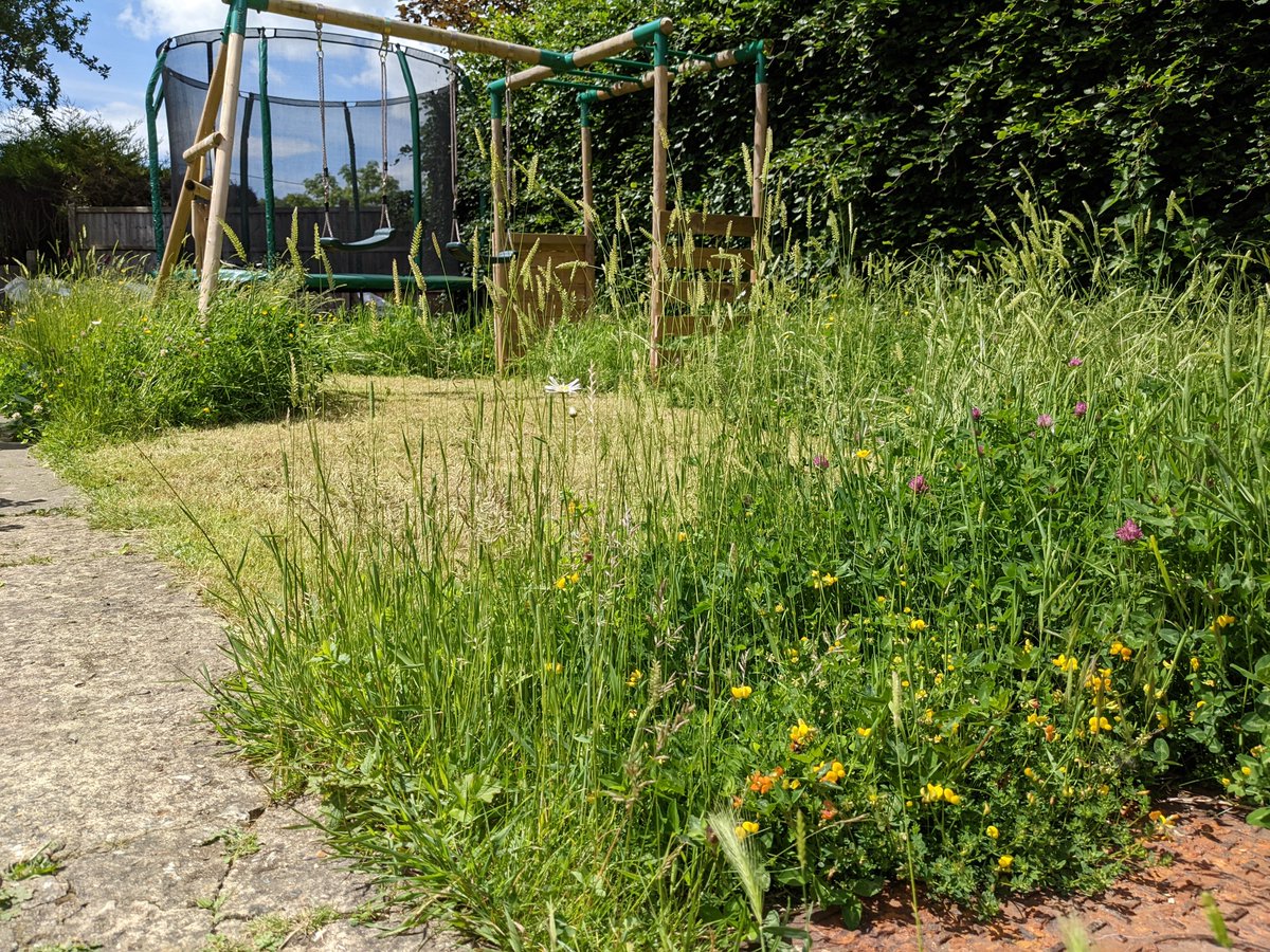 markdschofield's tweet image. A pleasure to talk to Xanthe and Neil on this morning's #GrowShow on @BBCYork and @BBCSheffield Another chance to encourage gardeners to support local wildlife with #NoMowMay. Listen from 33:02 here: bbc.co.uk/sounds/play/p0…
Could you 'embrace your inner Bison'? @Love_plants